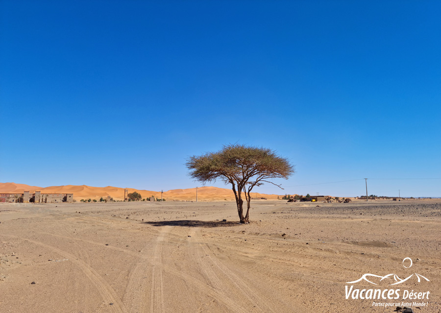 Quel itinéraire pour un voyage désert Maroc ? (5, 7 ou 10 jours)